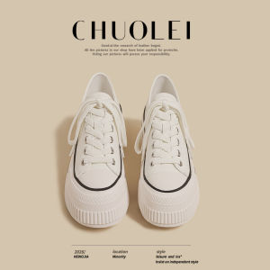CHUOLEI | Spring Thick Platform Canvas Shoes White Retro Leather