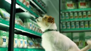 Natures Gift รวม 3 สูตร Lamb + Kangaroo Fillet + Prime Beef in Gravy ถาด 100 กรัม รวม 36 ถาด