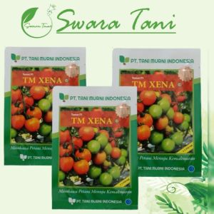 Benih Tomat F1 TM XENA isi 1750 Biji Tani Murni