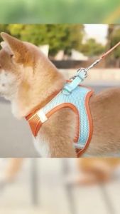 XXXS-L Reflective Pet Harness Dogs Strap with Leash Adjustable Harness Vest Breathable Collars for Chihuahua Small Large Dogs