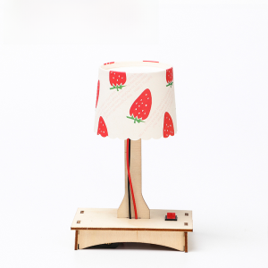 Student Science and Technology Small Production Small Invention DIY Handmade Material Science Experiment Suit Homemade Environmentally Creative Toys