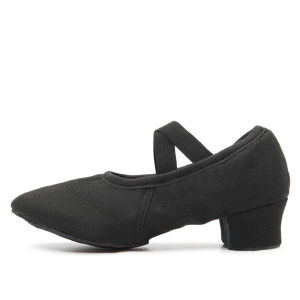 Women Dance Shoes Teacher Training Shoes Adults Latin Shoes Girls Soft Sole Ballet Shoes Jazz Yoga Belly Dance Shoes Female