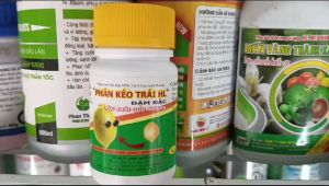 SIÊU KÉO TRÁI HL Hà Lan Đậm đặc Lớn trái cực nhanh chai 100ml pha 800 lít