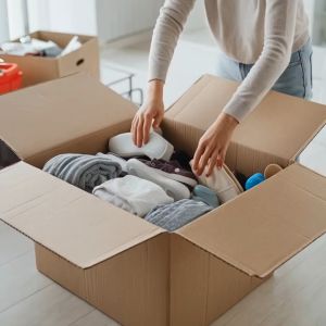 (1 PCS) KARDUS / KARTON BOX POLOS Uk. 45x35x30 CM