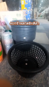 ตะกร้าเพาะเห็ด ตะกร้าดำ 2002 (โกเด้น) ตะกร้าเพาะเห็ด ตะกร้าผ้า ตะกร้าพลาสติก ตะกร้าใส่ของ พลาสติกเหนียว รูใหญ่ ตะกร้าดำ2002 - Lazada