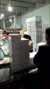 Giày Trắng Nhỏ Nữ 2023 Giày Agan Thường Ngày Thoáng Khí Mặt Lưới Mẫu Mới Mùa Xuân Hè Giày Thể Thao Chạy Bộ Đế Dày Dễ Phối