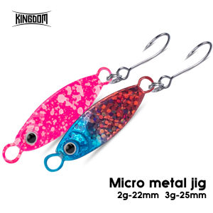 Kingdom 2pcs Jigging Fishing Lures 2g 3gSinking Fishing Metal Jig Lure Metal Jig With Single Hook Hard Bait Fishing Accessories