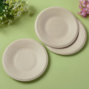 Degradable Multi-Purpose Paper Plate