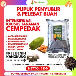Pupuk Buah Cempedak / Pupuk Booster Pohon Nangkadak / Pupuk Pembesar Tanaman Buah Cempedak / Pupuk Pelebat Buah Cempedak