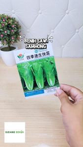 [EKONOMIS] Bibit Sawi Samhong Benih Sayuran Sawi Isi 300 (KEMASAN PABRIK)