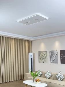 FANZHEN | Eye Protection Simple Modern Hall Ceiling Light with Spotlight