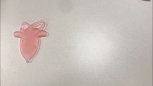 Bevavar Teether Gigitan Bayi Bentuk Buah Teether Gelang Bayi Silikon BPA Free