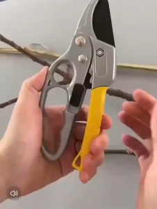 กรรไกรตัดกิ่งไม้SK5 กรรไกรแต่งกิ่ง กรรไกรสแตนเลส กรรไกรสำหรับตัดแต่งกิ่งไม้ ดอกไม้ เครื่องมือจัดทำสวน เบาแรงกด ตัดง่าย (ส่งมาจากกรุงเทพฯ）