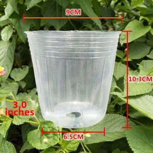 CHUICHUNFENG | Orchid Planting Pot Plastic Transparent