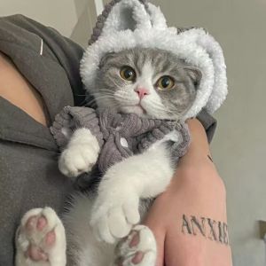 Pet Kitten Cat Clothes Anti-Lint Autumn and Winter Four-Legged Heattech Rabbit Kittens British Shorthair Muppet Autumn and Winter Clothing