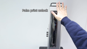 Holakay Waterproof Outdoor Automatic Electric Wi-fi CameraTuya Fingerprint Digital Tuya 3D Face Recognition Smart Door Lock