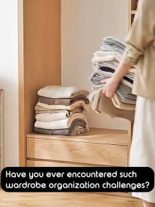 Multipurpose Wardrobe Organizer Divider Stackable And Foldable Pull-Out Design