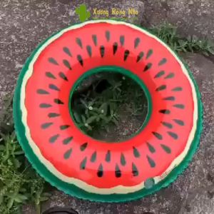 Phao Bơi Tròn Họa Tiết Quả Dưa Hấu Phao Bơi Nhiều Kích Thước Khác Nhau Phù Hợp Cho Trẻ Em Và Người Lớn Xương Rồng Nhỏ