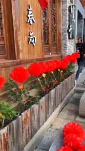 Lồng Đèn Đỏ Chữ Phúc Treo Trang Trí Nhà Cửa Dịp Tết Chất Liệu Nylon Chống Nước 2 Size Tuỳ Chọn 20-25cm-GD874-LongDen