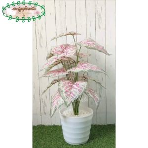 Pohon Hias Pohon Imitasi Calladium Pink X18 Semilatex Pot Ulir Lovenia Putih Plastik Hiasan Studio Dekorasi Rumah