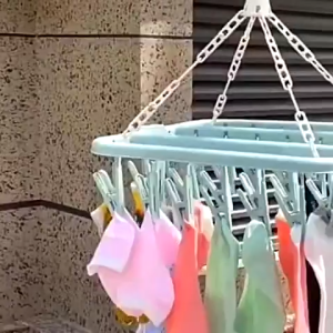 PeaceHome 32 Clips Foldable Plastic Laundry Hanger Windproof 360° Rotating Multi-Clip Drying Rack for Socks Underwear Baby Clothes
