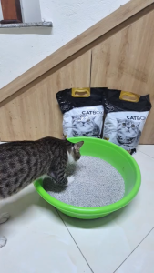 CatBox Cát Vệ Sinh Than Hoạt Tính Dành Cho Mèo Khử Mùi Hút Ẩm Tốt Mã - PKCMK26