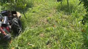 Máy cắt cỏ đa năng BM91