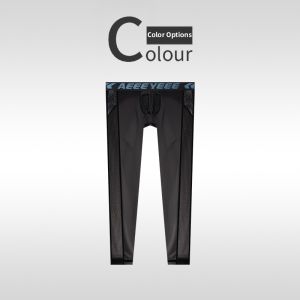 AEEEYEEE | Ice Silk Satin Mesh See-Through Intimate Thermal Pants