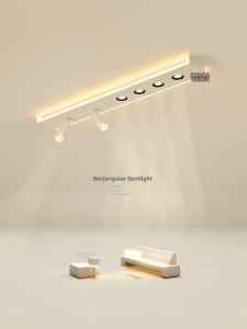 Modern LED Ceiling Light