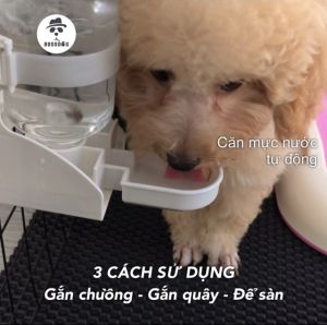 Bình nước gắn chuồng chó cưng - 2 chiều  BossDog