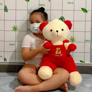 TEDDY BEAR GẤU BÔNG TEDDY BEAR MẶC YẾM GẤU BÔNG CHO BÉ VẢI NHUNG MỊN AN TOÀN CHO DA BÉ GIẢM GIÁ RẺ NHẤT