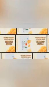 HYX Yogurt Powder 500g: Perfect for Fruit Series Smoothies