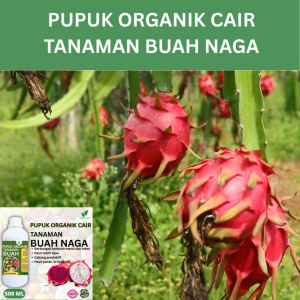 Pupuk Buah Naga 500 ML /Pupuk Booster Naga Cepat Berbuah Lebat/Pupuk Cair Naga