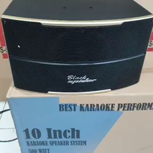 SPEAKER PASIF BLACKSPIDER SPX450 SPX 450 PROFESSIONAL KARAOKE SPEAKER 10 INCH 2 UNIT ORIGINAL