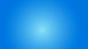 Life Cat Pouch 85gr: Makanan Basah Kucing Berkualitas Tinggi & Alternatif Whiskas