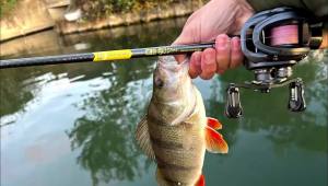 LEYDUN REMUS Electronic Brake System Baitcasting Fishing Reels 139g 7.1:1 Gear Ratio 4kg Ultra-light Carbon Material Tackle Reel
