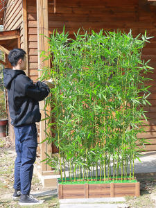 Imitation Bamboo Fine Water Fake Bamboo Decoration Indoor Outdoor Partition Green Plant Plastic Wall Balcony Courtyard Landscape