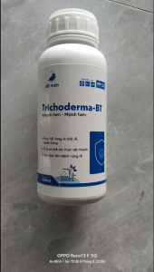 Trichoderma BT-Bacillus subtilis-Actinomycetes-10^8-Phòng ngừa vàng lá thối rễ Ks Phytophthorafusarium và tuyến trùng-500ml