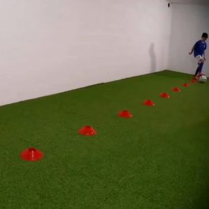Agility Hurdles Training Equipment: A Comprehensive Guide
