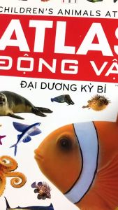 Sách - Atlas Động Vật - Đại Dương Kỳ Bí (bìa cứng)