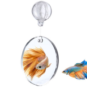 Gương Tập Betta Cho Bể Cá Gương Nổi Acrylic Cho Bể Cá Betta Chơi Đồ Chơi