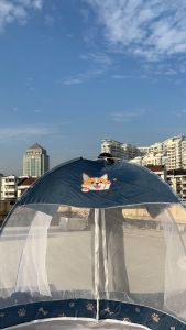 FDM kelambu Dual Door Mosquito Net Tend Full Cover Mosquito Bed Single/Queen/King Mosquito Net