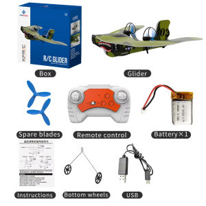 2CH Mini RC Plane 2.4G Fixed Wing Remote Control Glider Professional Aircraft with LED Lights Airplane Model Toys for Children