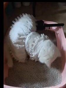 Cat Litter Box With Scoop Kitten Litter Box Cat Toilet Deodorization leakage prevention Litter Box
