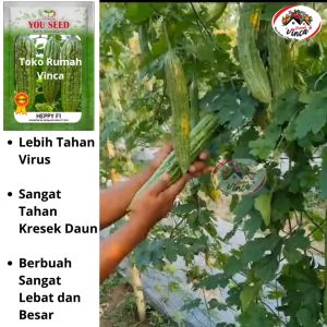 Benih Bibit Pare Hijau Super HEPPY F1 25 Biji Paria Besar Cap You Seed