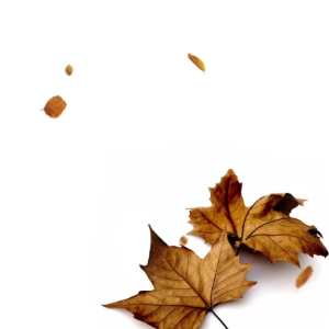 AIMAN AROMATIC | DUPA TOPLES BUKHUR GAHARU ASLI KERUCUT AROMA JASMINE SUPER WANGI ISI 50 PCS PREMIUM