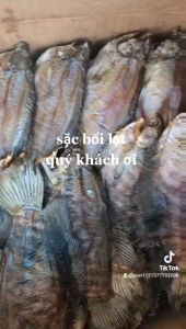 Khô Cá Sặc Rằn Cà Mau 13-16con/kg thơm ngon chất lượng cao giao siêu nhanh