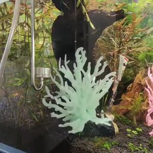 Mô hình San Hô Nhân Tạo Trang Trí Hồ Cá Loại Xòe