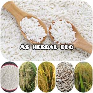 Benih padi ketan putih super 500 gram-az