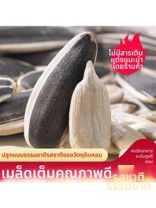 Fresh Roasted Original Flavor Large Sunflower Seeds Snack